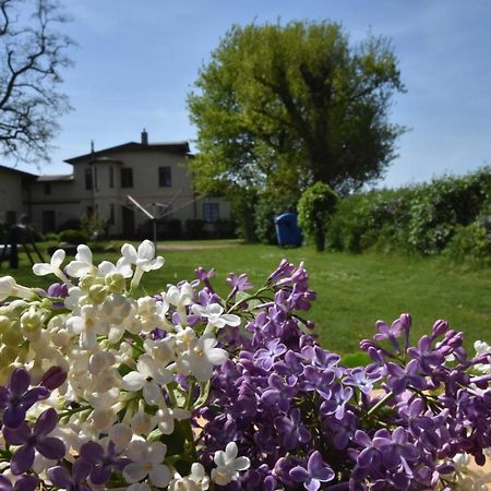 "Villa Seeheim" Ferienobjekt Direkt Am Wasser Ovs 692 Gustow  外观 照片